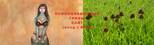 a pvp Абинск
