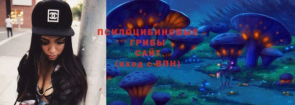 ПСИЛОЦИБИНОВЫЕ ГРИБЫ Алексеевка