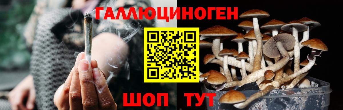 Галлюциногенные грибы прущие грибы  Вход с VPN  Луга 